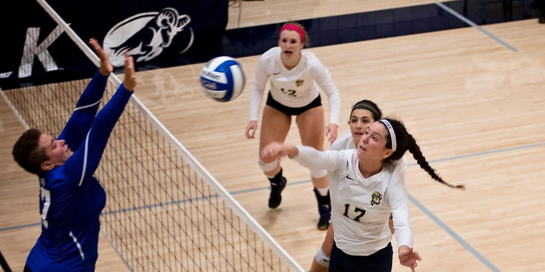 Volleyball Welcomes Mt. Ida, Fitchburg State for Tri Saturday