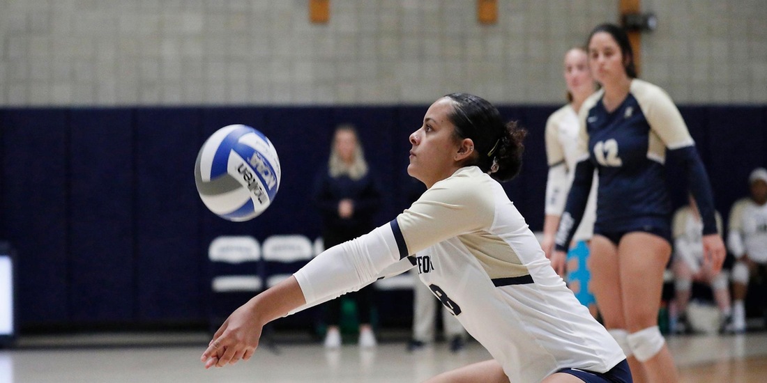 Volleyball Welcomes University of New England Tuesday