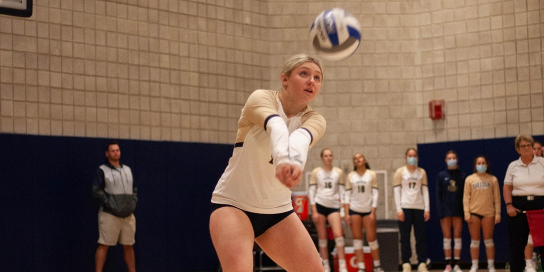 Volleyball Entertains No. 10 MIT in Home Opener Tuesday