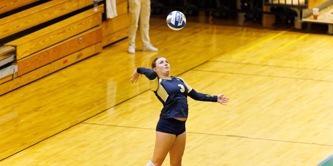 Volleyball Entertains Roger Williams Wednesday