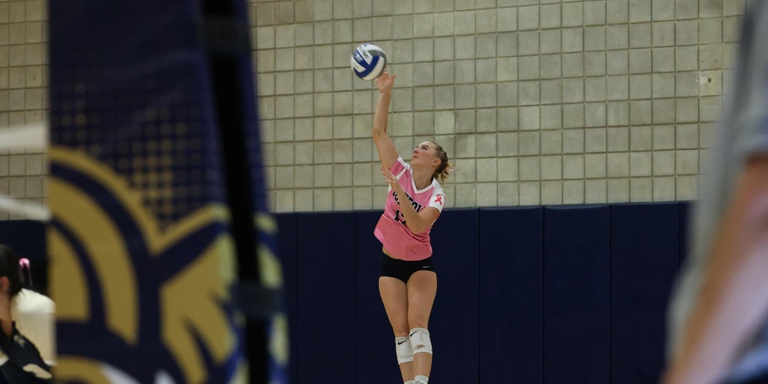 Volleyball Drops Dig Pink Match to Gordon in Straight Sets