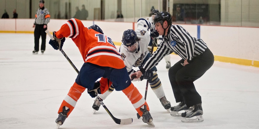 Men’s Hockey Welcomes #15/14 Babson, #9/10 UMass Boston this Weekend