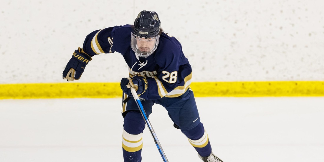 No. 14 Endicott Edges Men’s Hockey in OT, 2-1