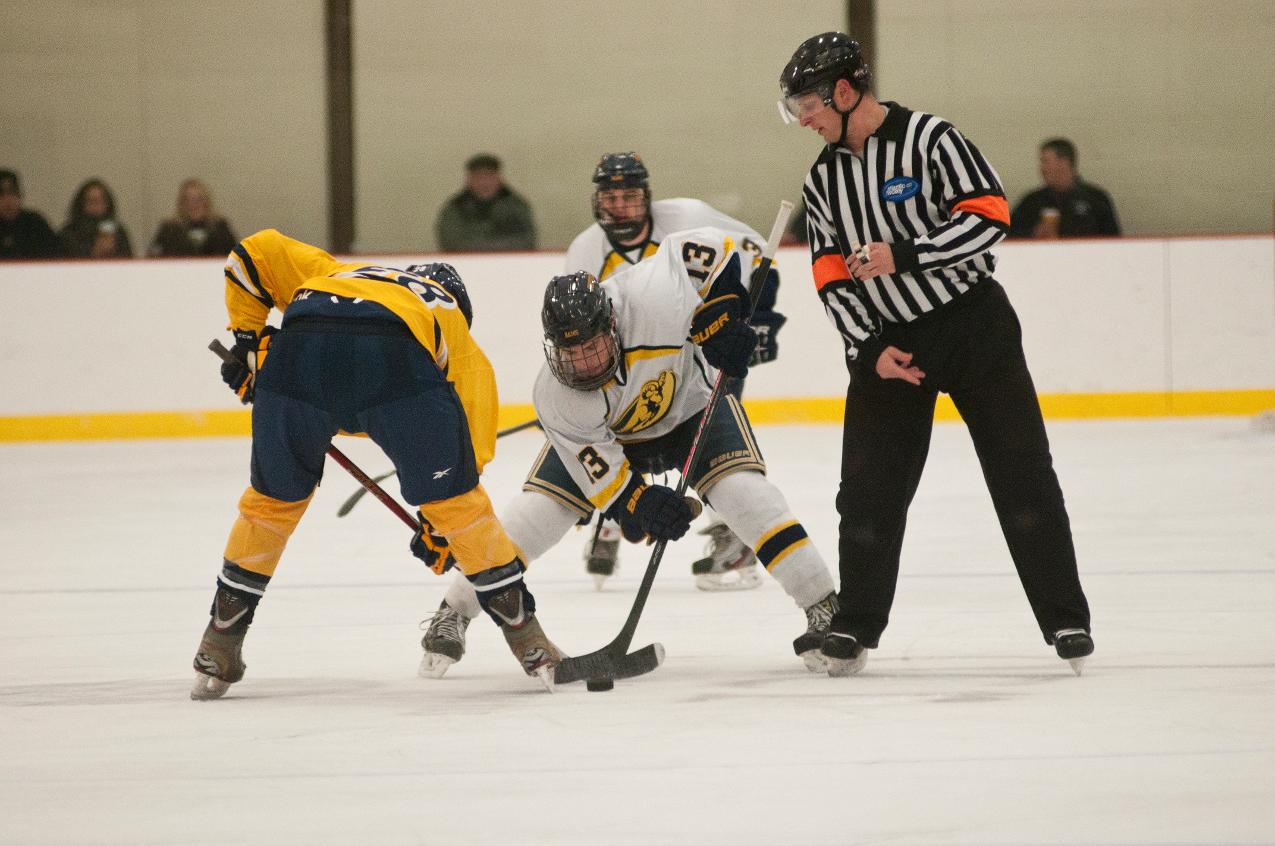 Hockey Ties Endicott in OT in ECAC Northeast Action