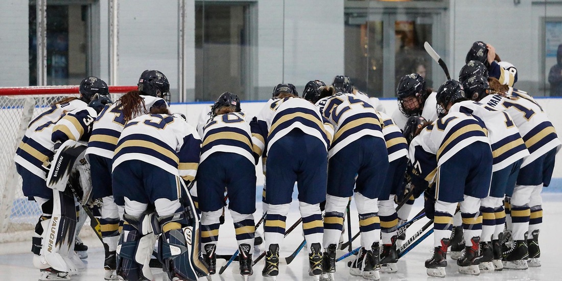 Women’s Hockey Home-and-Home with WNE Features Military Appreciation Game