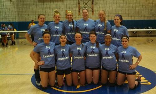 Volleyball Sweeps Tri-Match Clinches Playoff Berth
