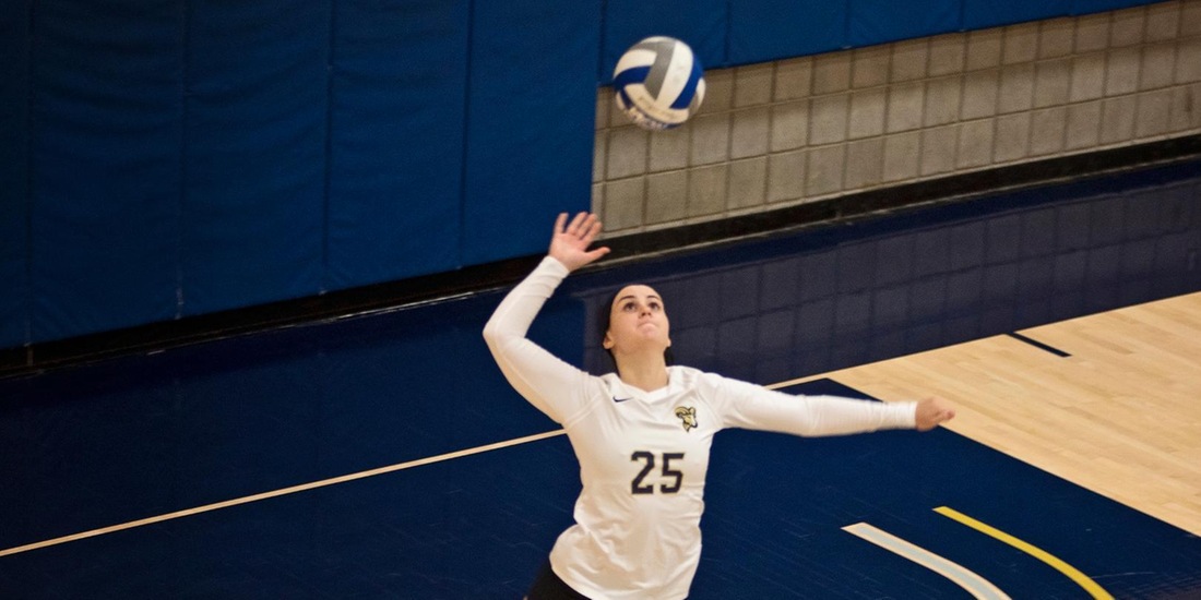 Volleyball Treks to Albertus Magnus for GNAC Tri with Anna Maria