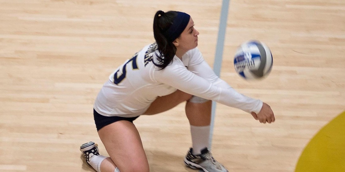 GNAC Road Tri-Match on Docket for Volleyball Saturday
