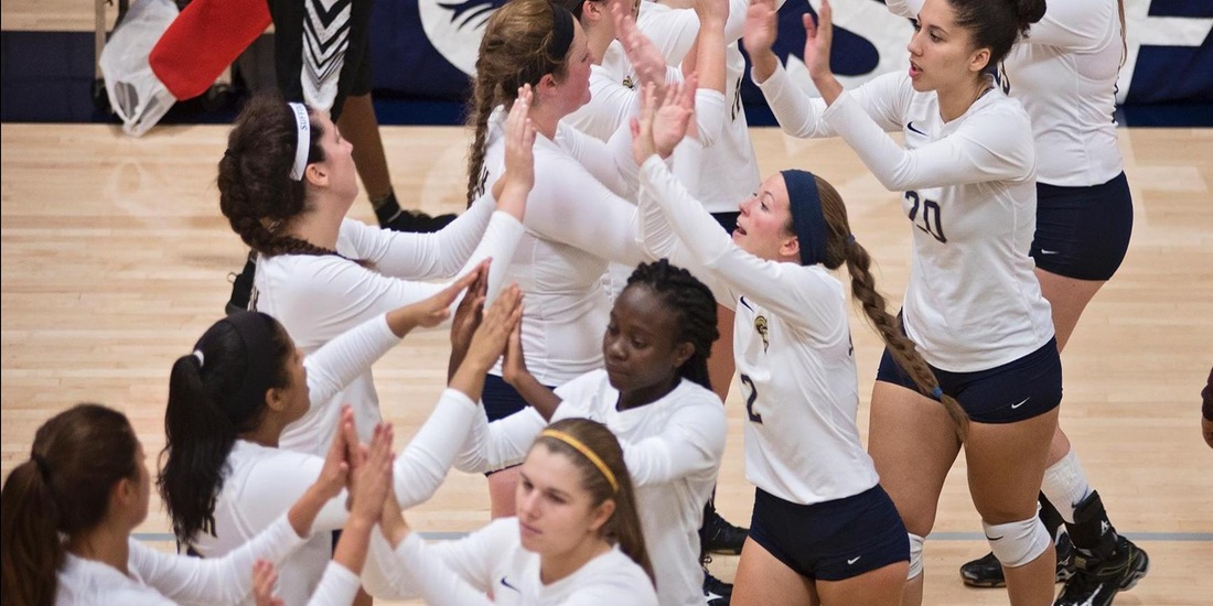 Volleyball Secures 3-2 Thriller at Albertus Magnus