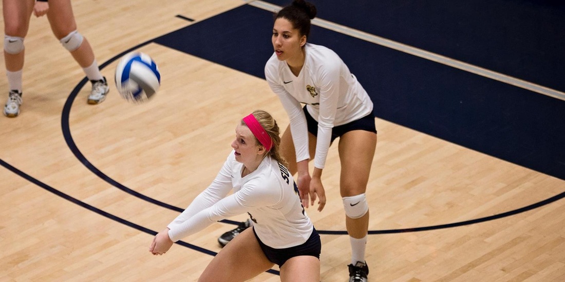 Volleyball Falls in Three in GNAC Opener at Rivier