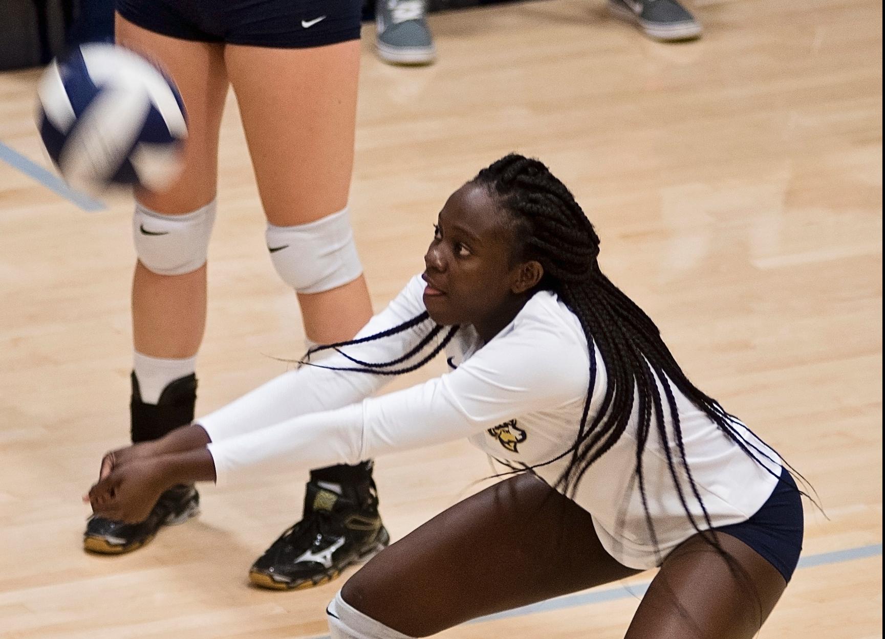 Volleyball Returns to GNAC Play at Anna Maria Wednesday