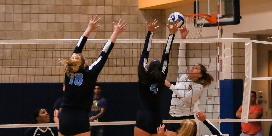 Volleyball Stops by Wentworth Thursday