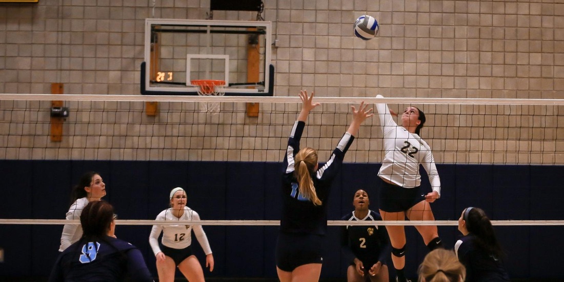 Volleyball Concludes Regular Season with Tri-Match at St. Joseph (Conn.)