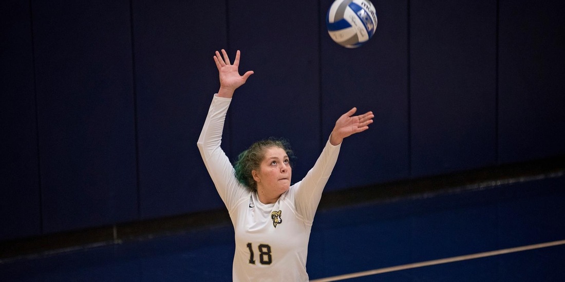 Volleyball Lifts Lid on 24th Season at Babson Invitational