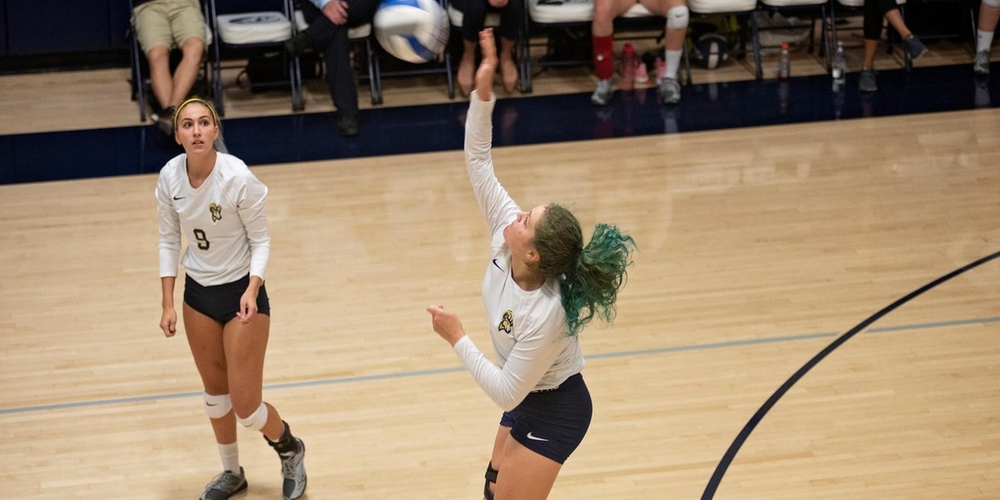 Volleyball Tripped Up at Keene State, 3-0