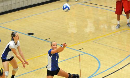 Volleyball Sweeps Tri-Match at Curry College